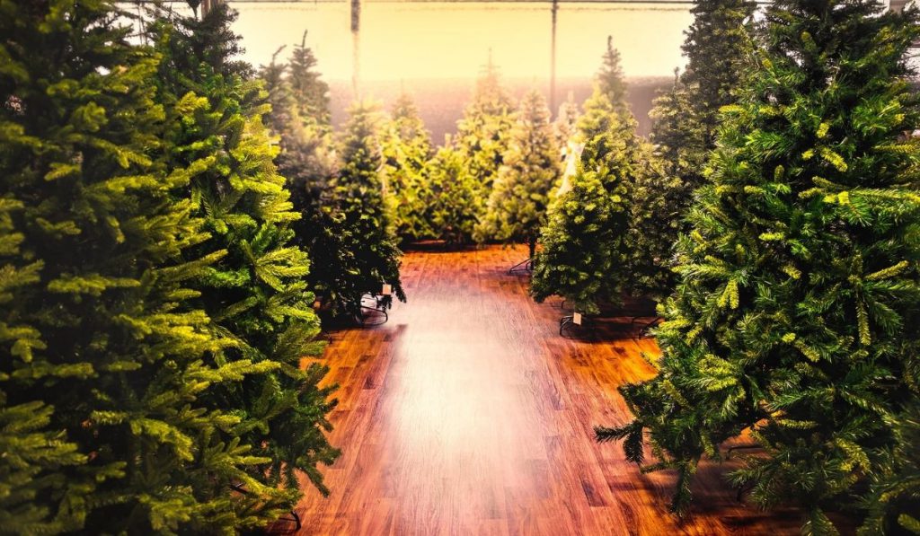 christmas trees